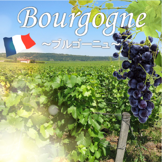 マデイラ・ポルトガル＆世界のワインなら Pontovinho（ポントヴィーニョ）